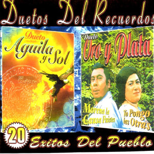 Caballo Prieto Azabache