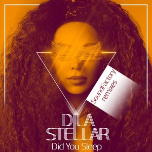 Did You Sleep (SoundFactory Remixes)