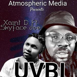 UVBI (feat. SKYFACE JOE)