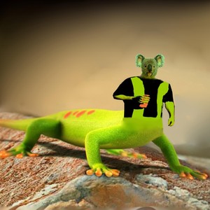 Geckoala