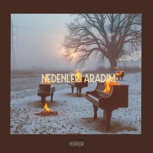 NEDENLERİ ARADIM (Explicit)