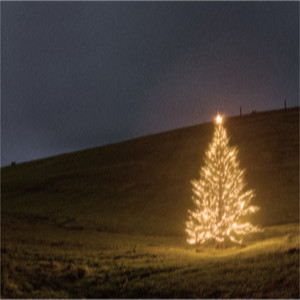 O Come All Ye Faithful