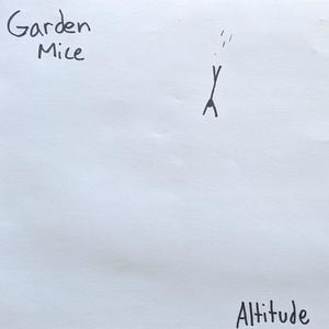 Altitude (Explicit)