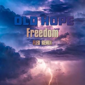 Freedom (FLeo Remix)