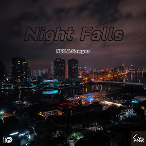Night Falls (VIP MIX)