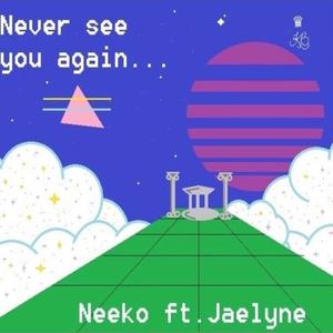NEVER SEE YOU AGAIN(feat. Jaelyne)
