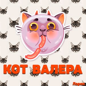 Кот Валера