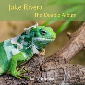 The Double Album