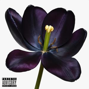 Follow My Way (Explicit)