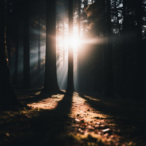 Burning Through the Silence