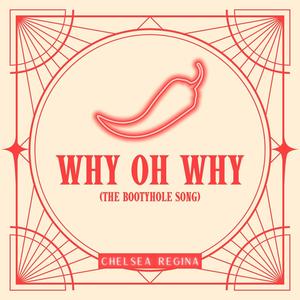 Why Oh Why (The Bootyhole Song) [Explicit]