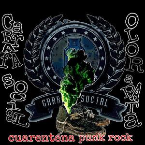 Punk Rock Cuarentena - Split