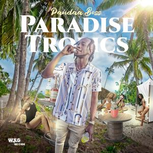 Paradise Tropics (feat. WSG RECORDS )