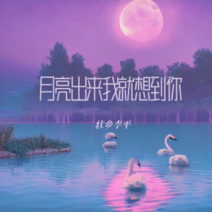 月亮出来我就想到你 (伴奏)