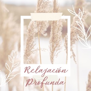 Encuentro con Tu Ser Interior en el Rincón Secreto