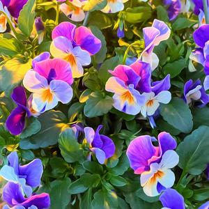 Hypnotic (feat. Arean) (Hyper Angel Psycho Mix)