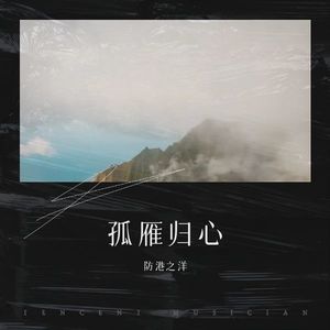孤雁归心