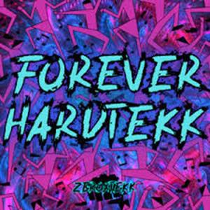 Mir Gehts Gut (HardTekk)