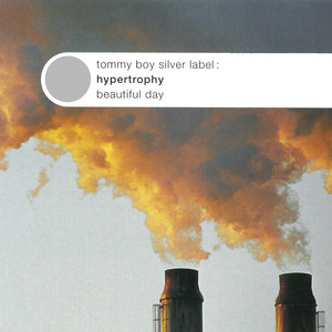 Beautiful Day (DJ Thoka Remix|Remix)