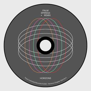 Palm Springs (Remix)