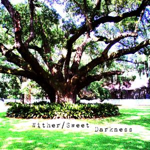 Sweet Darkness