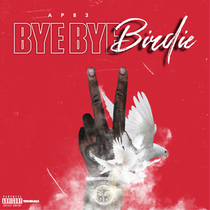 Bye Bye Birdie (Explicit)