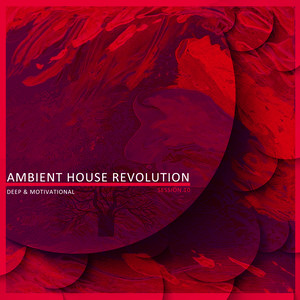 Ambient House Revolution, Session 10 - Deep & Motivational