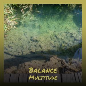 Balance Multitude