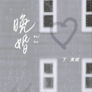 晚婚 (我从来不想独身)封面