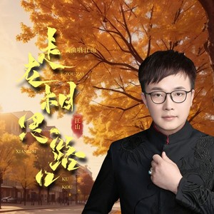 江山 - 走在相思路口[MP3_LRC]_MP3下载