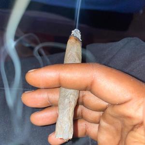 FreeSh1T (Explicit)