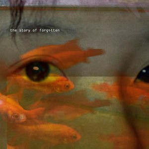 C1.The story of forgotten