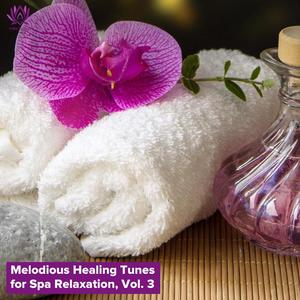 A Time Of Dinner Time