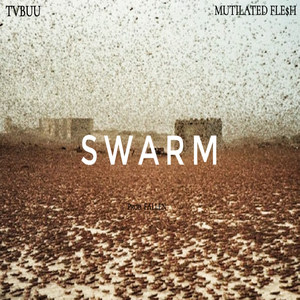 Swarm (Explicit)