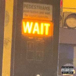 Wait (Explicit)