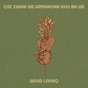 Che Zwani We Armanuna Kho Ba We
