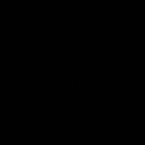 Shh (feat. Binndatt) (Explicit)