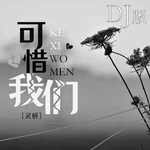 可惜我们 (DJ版)