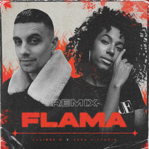 Flama (Remix)