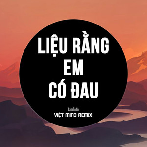 Liệu Rằng Em Có Đau (Việt Mino Remix)