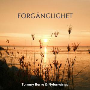 Förgänglighet