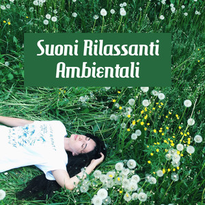 Suoni Rilassanti Ambientali - Sentiti Meglio con l'incredibile Musica New Age, Sentirsi Così Bene, Pace e Armonia, Suoni D'acqua