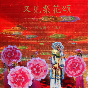 又见梨花颂-改编演奏:王勇