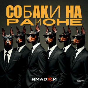 Собаки на районе