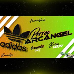 Perreo Arcangel (feat. Brian deejay)