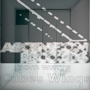 Cubes Wings (Redloft Artificial Remix)