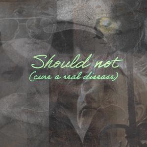 Should Not (Cure A Real Disease) (feat. Dan Bern, Karaugh Brown, Michael McDermott & Erika Nelson)
