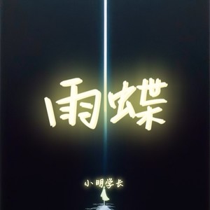 雨蝶 (破碎版)封面