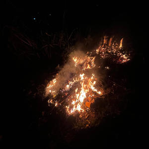 NUMBER ONE (feat. 6KOHSLY & RII$HOM G) (Explicit)