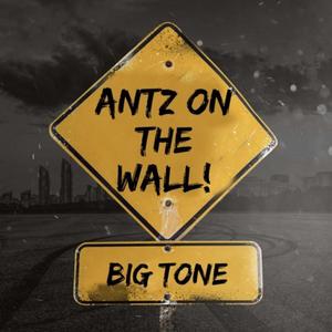 ANTZ on the WALL! (Explicit)